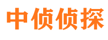 天台市调查公司